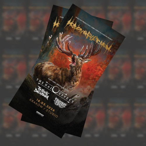 DENIHILIST, HAIL TO THE KING / 3枚セット DENIHILIST, HAIL TO THE KING / 3枚セット Amazon.co.jp: Hail to the